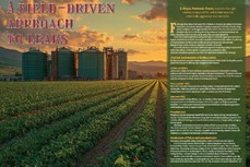 A field-driven approach to leaks