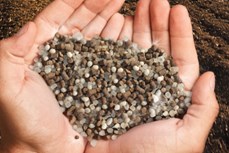 Olmix launches a PFC6-certified bio-stimulant