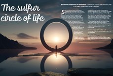 The sulfur circle of life