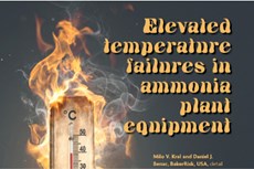 Elevated temperature failures in ammonia plant equipment - references