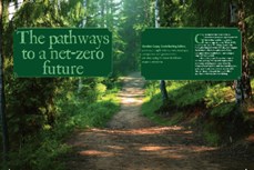 The pathways to a net-zero future