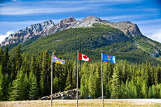 Hydrofuel Canada's micro ammonia production system commercial prototype completed