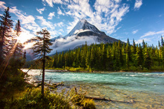 EverWind announces successful bid for green energy production in Newfoundland and Labrador